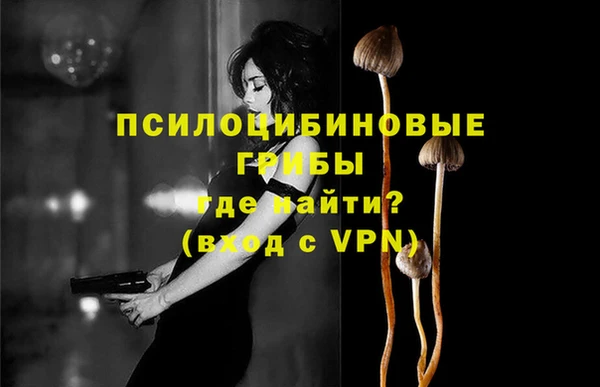 амф Абдулино