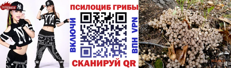 Псилоцибиновые грибы Magic Shrooms  Чекалин 